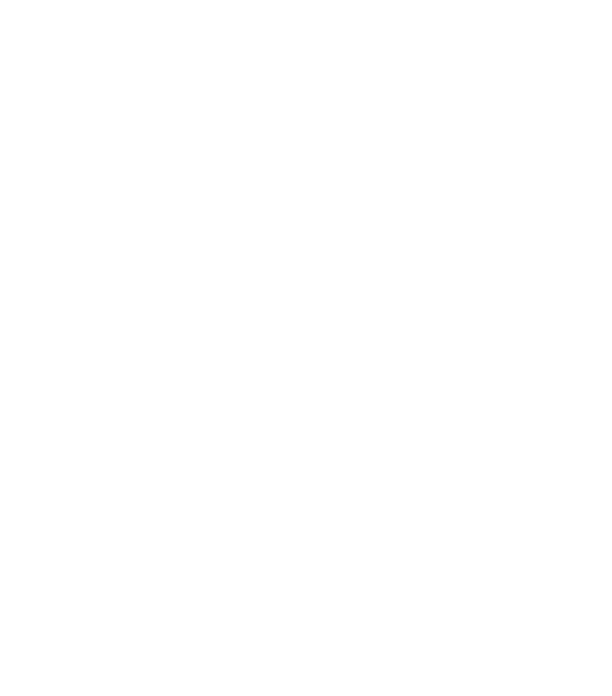 HeegMedia Logo